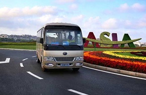 金龍客車33+1+1座位（20輛） 